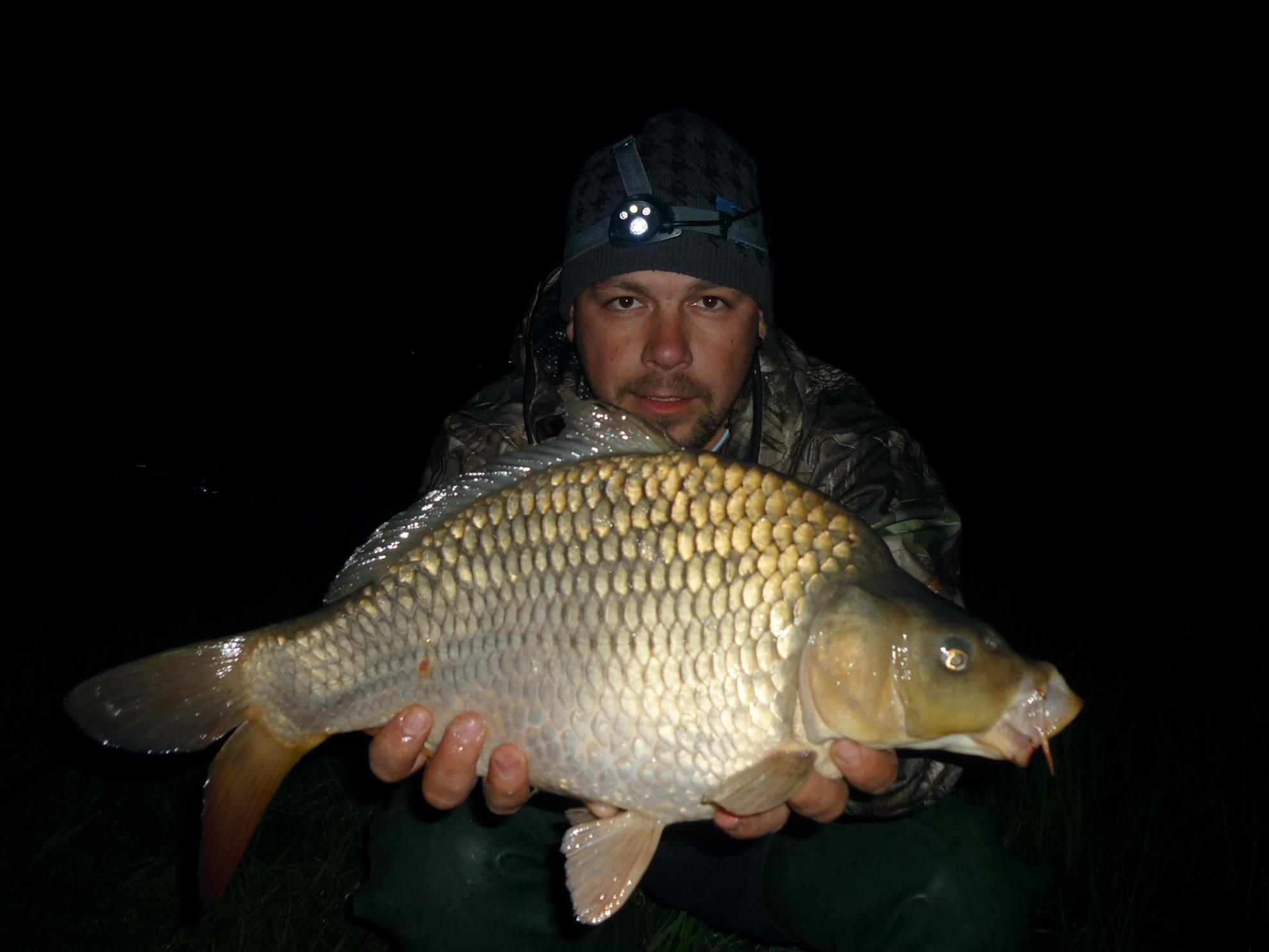 Stejeris 2011 - p1010941.JPG